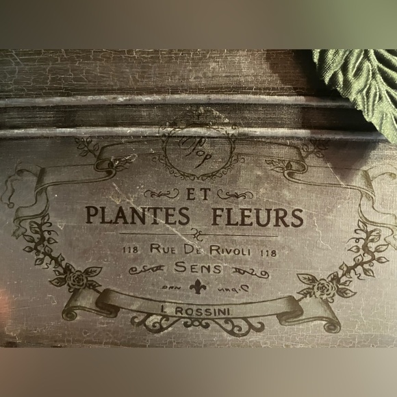 Bath Roses - Picture 5 of 7